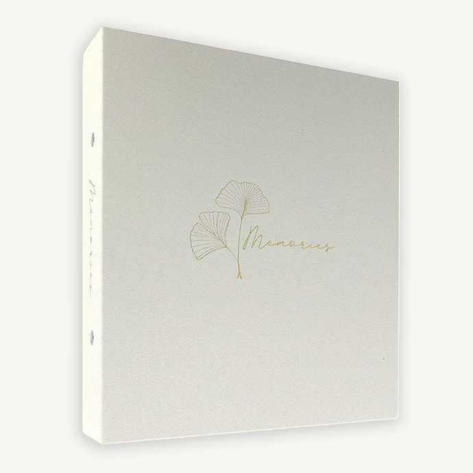 Album Art Memories Beige Gold