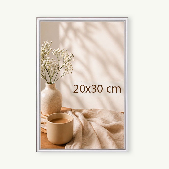 Okvir Srebrni 20x30
